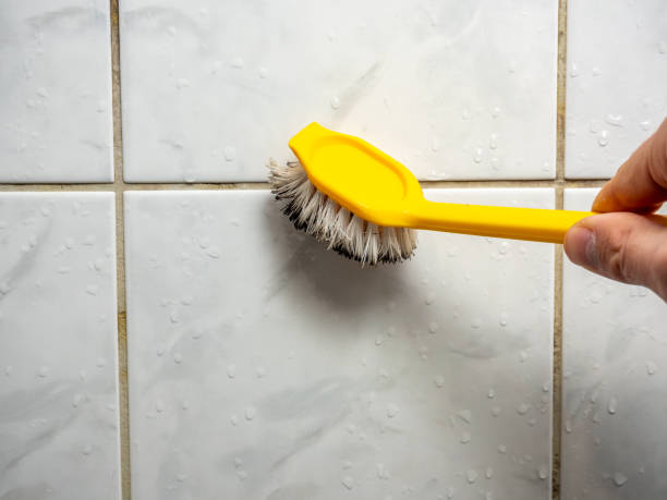 Best Office Mold Removal Services  in Griswold, IA